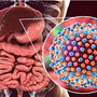 hepatit c
